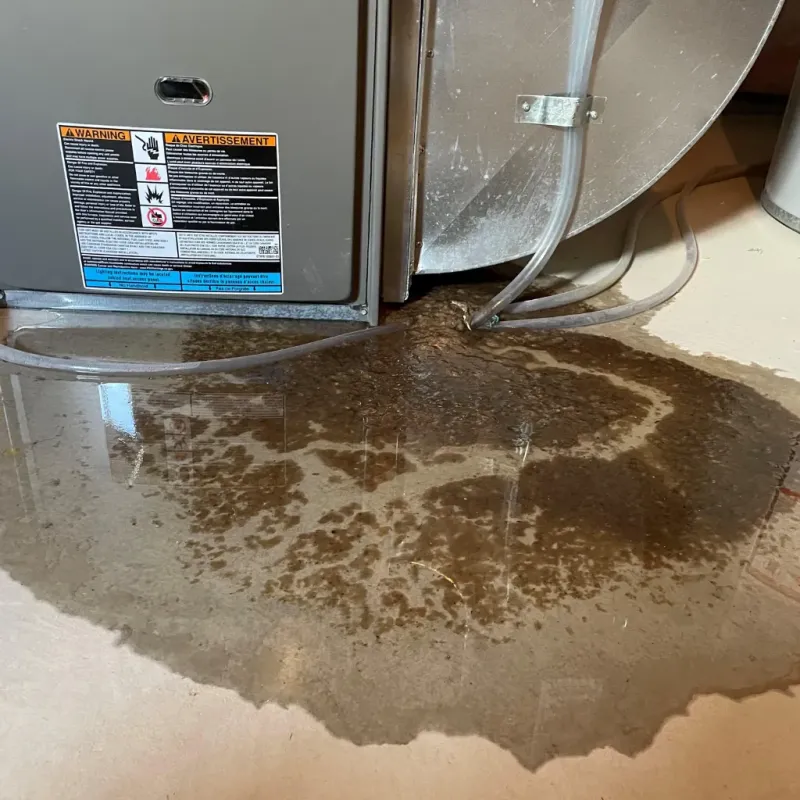 Appliance Leak Cleanup in Nanawale Estates, HI