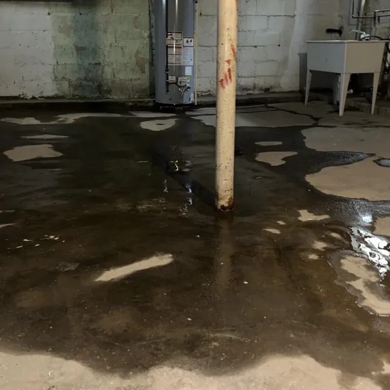 Emergency Water Extraction And Removal in Nanawale Estates, HI
